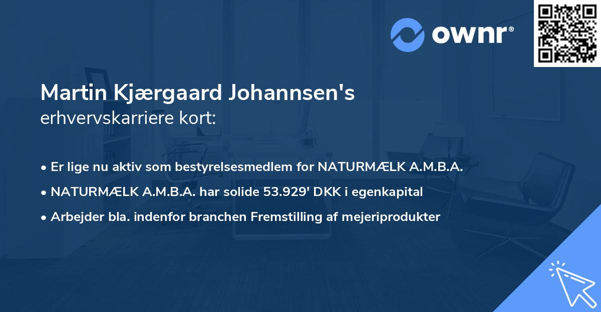 Martin Kjærgaard Johannsen's erhvervskarriere kort