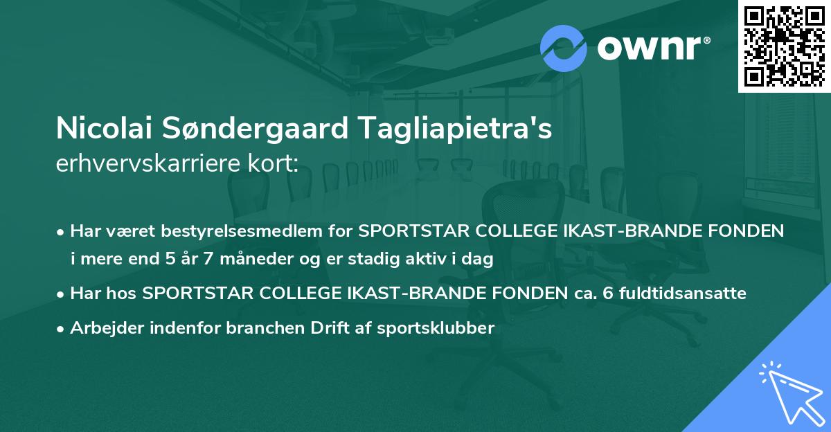 Nicolai Søndergaard Tagliapietra's erhvervskarriere kort