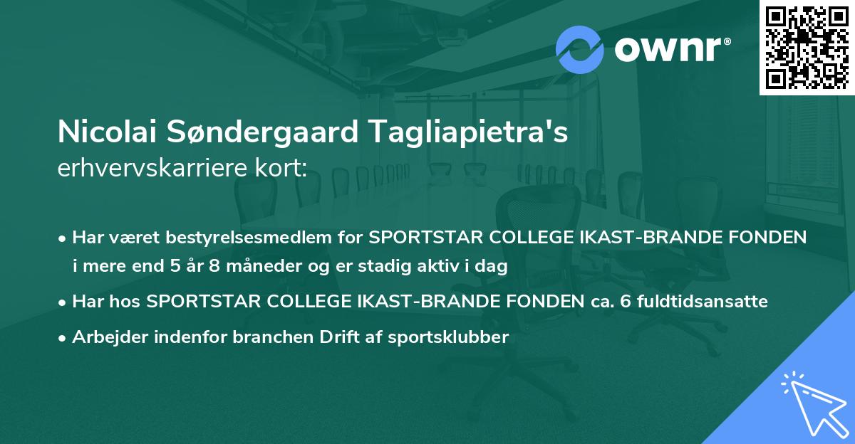 Nicolai Søndergaard Tagliapietra's erhvervskarriere kort