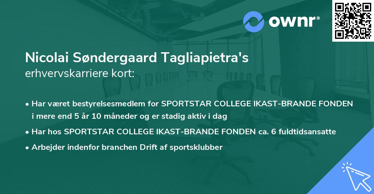 Nicolai Søndergaard Tagliapietra's erhvervskarriere kort