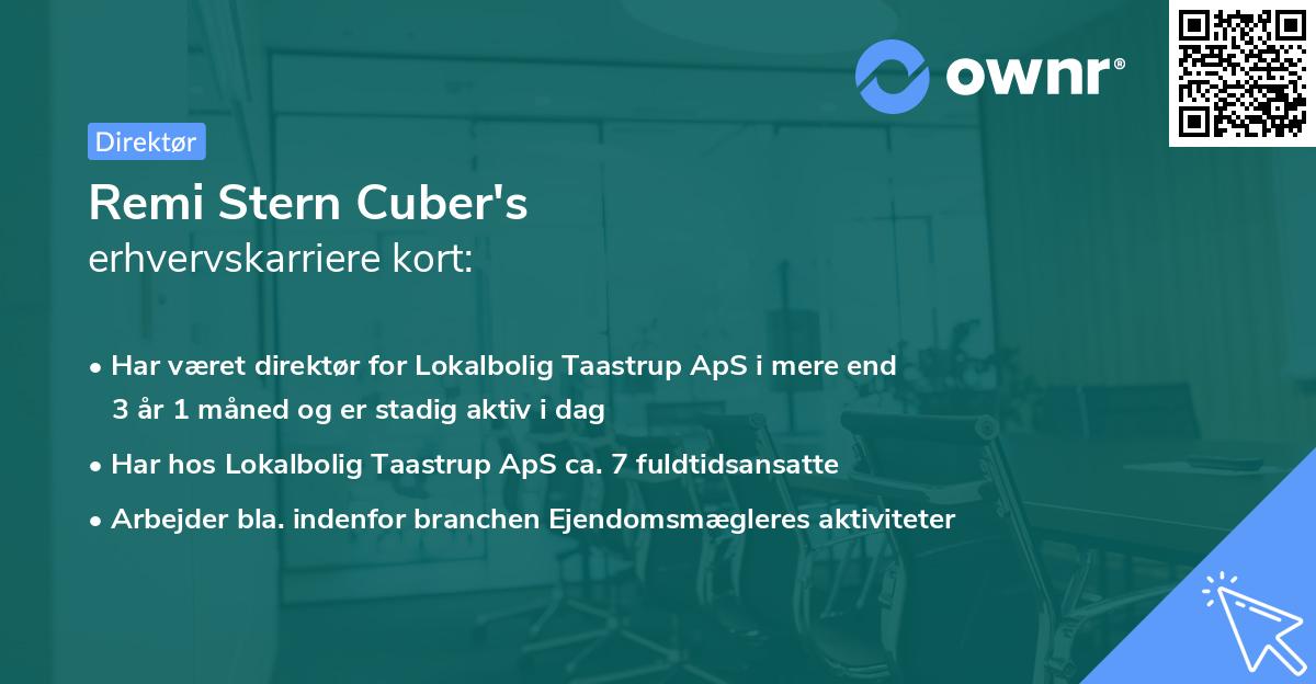 Remi Stern Cuber's erhvervskarriere kort