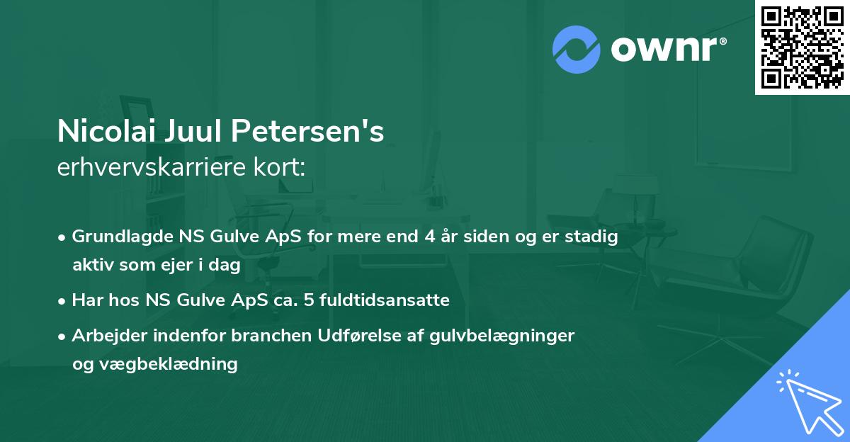Nicolai Juul Petersen's erhvervskarriere kort