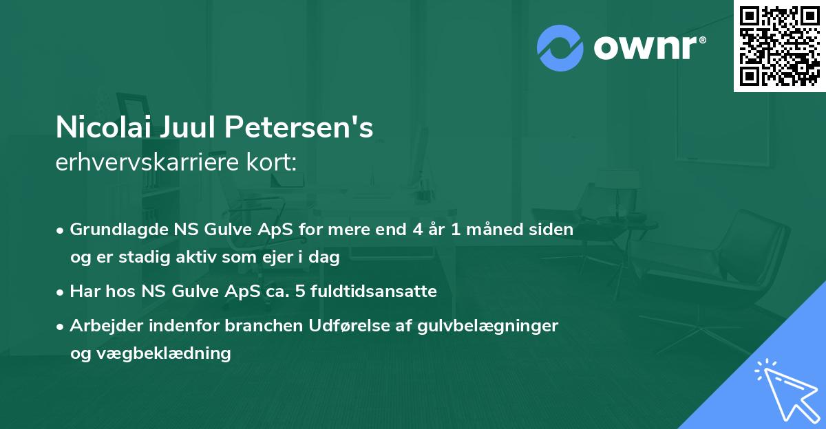 Nicolai Juul Petersen's erhvervskarriere kort