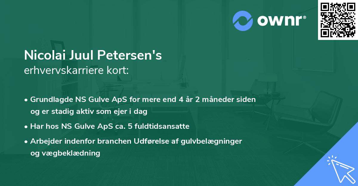 Nicolai Juul Petersen's erhvervskarriere kort