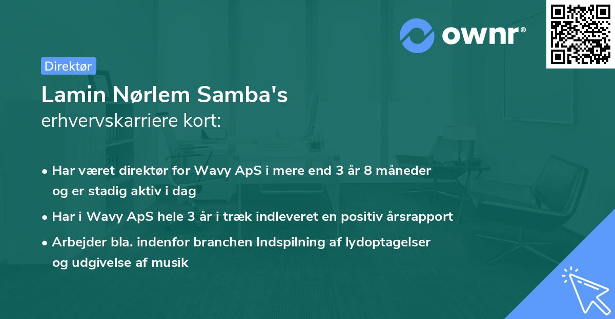 Lamin Nørlem Samba's erhvervskarriere kort