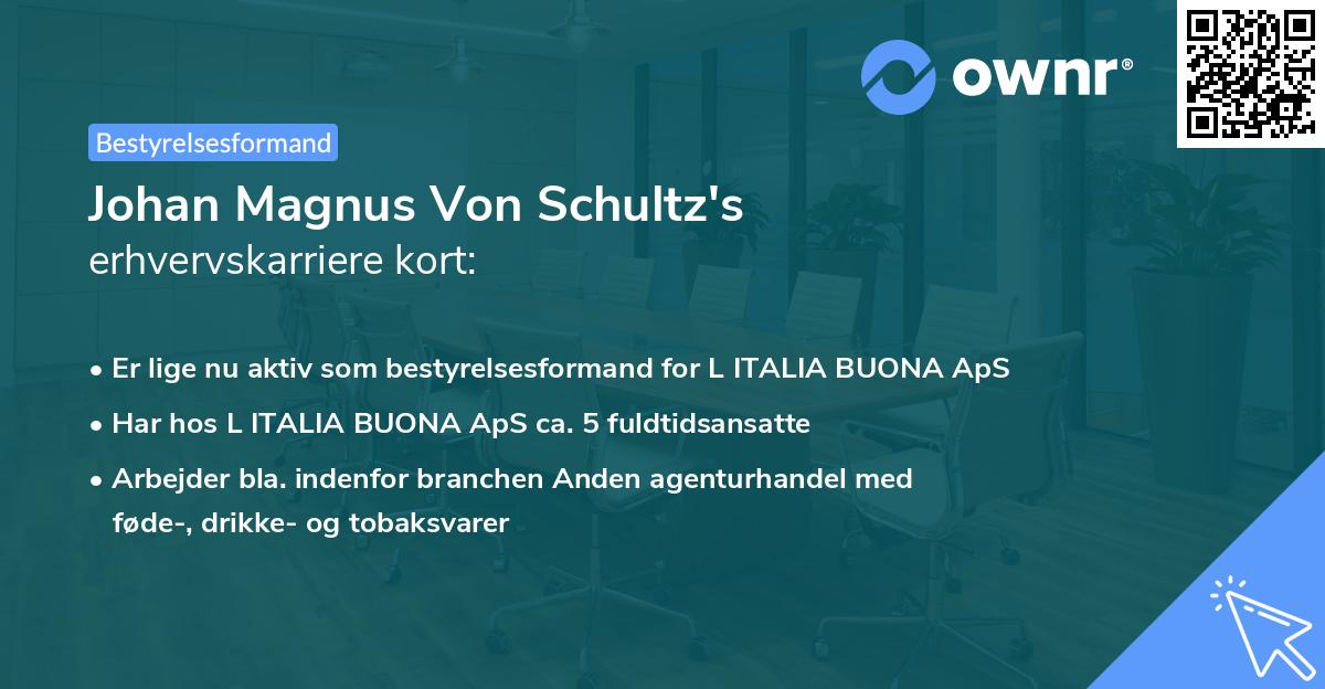 Johan Magnus Von Schultz's erhvervskarriere kort