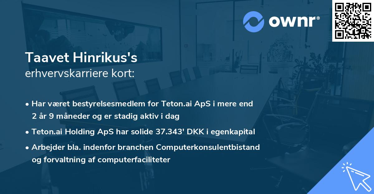 Taavet Hinrikus's erhvervskarriere kort