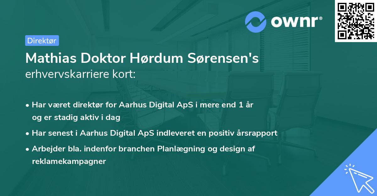 Mathias Doktor Hørdum Sørensen's erhvervskarriere kort