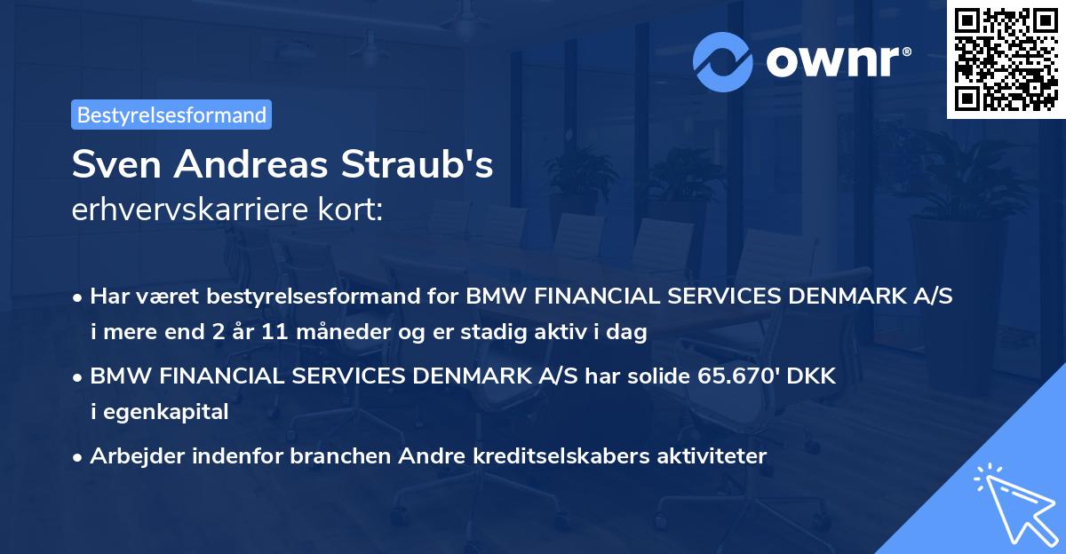 Sven Andreas Straub's erhvervskarriere kort