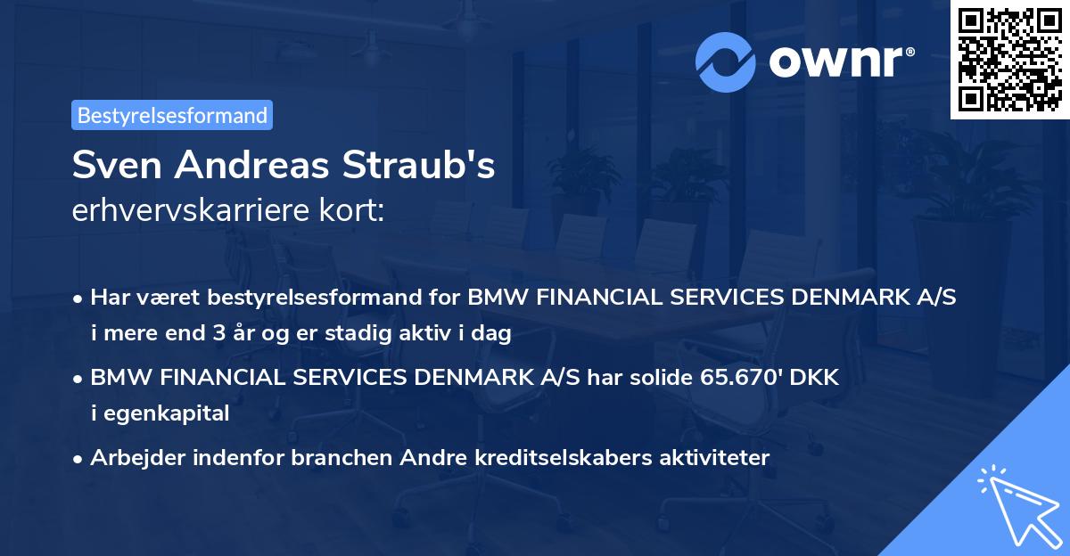 Sven Andreas Straub's erhvervskarriere kort