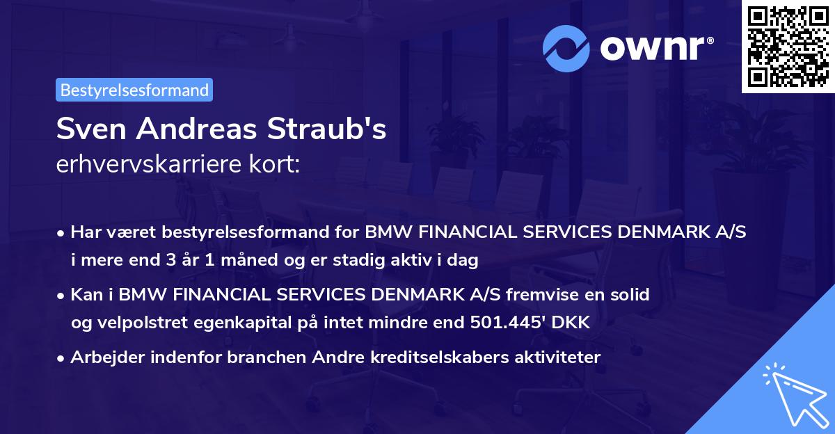 Sven Andreas Straub's erhvervskarriere kort