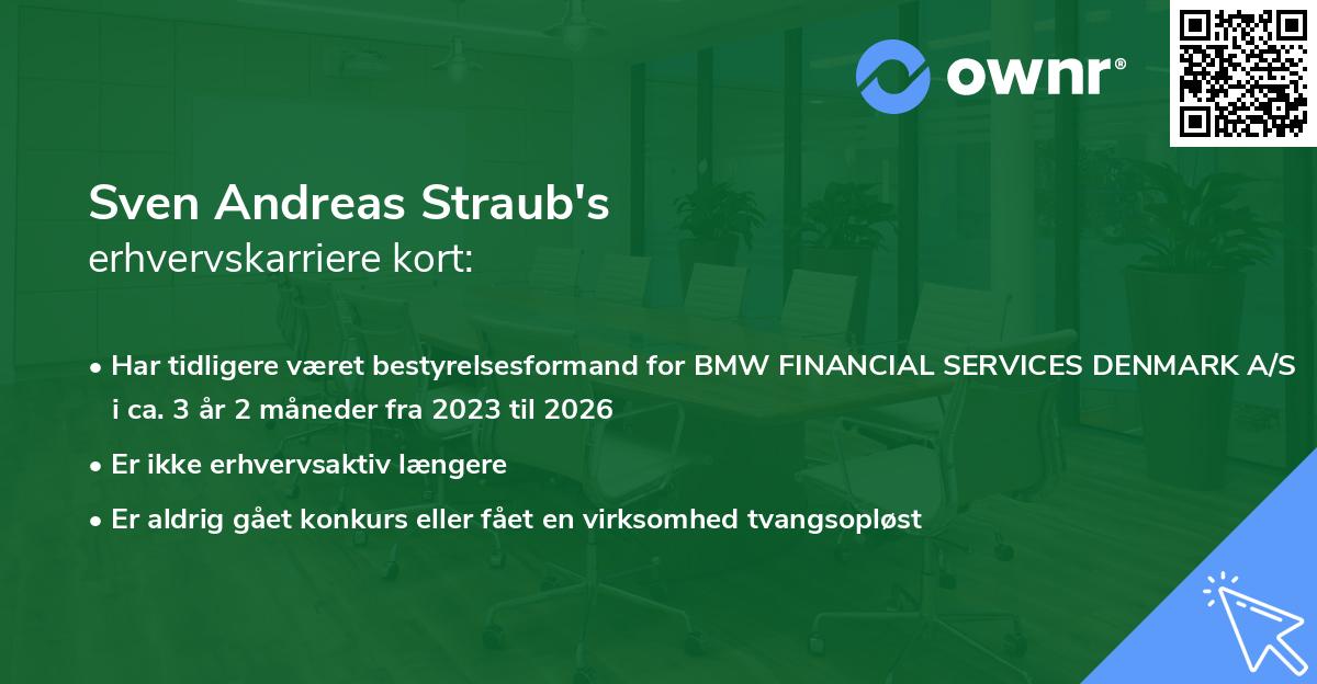 Sven Andreas Straub's erhvervskarriere kort