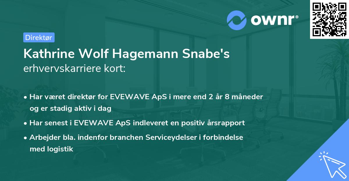 Kathrine Wolf Hagemann Snabe's erhvervskarriere kort