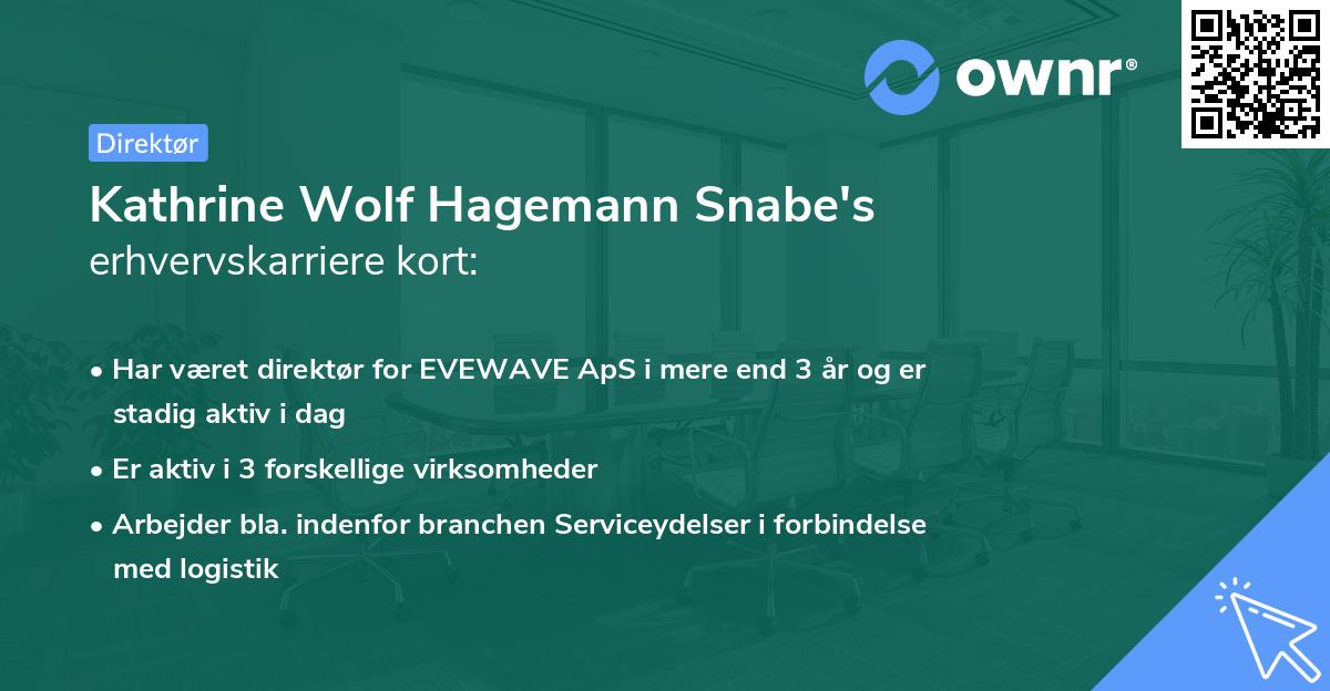 Kathrine Wolf Hagemann Snabe's erhvervskarriere kort