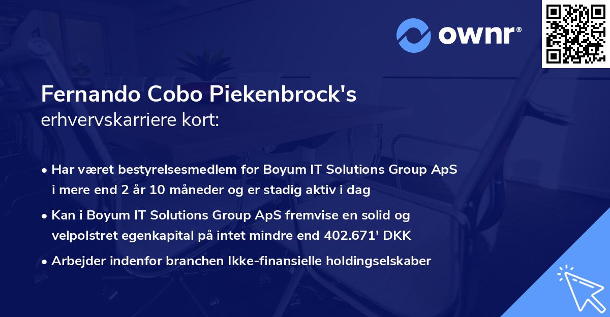 Fernando Cobo Piekenbrock's erhvervskarriere kort