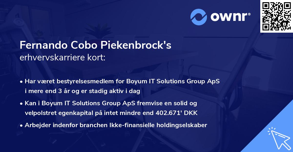 Fernando Cobo Piekenbrock's erhvervskarriere kort