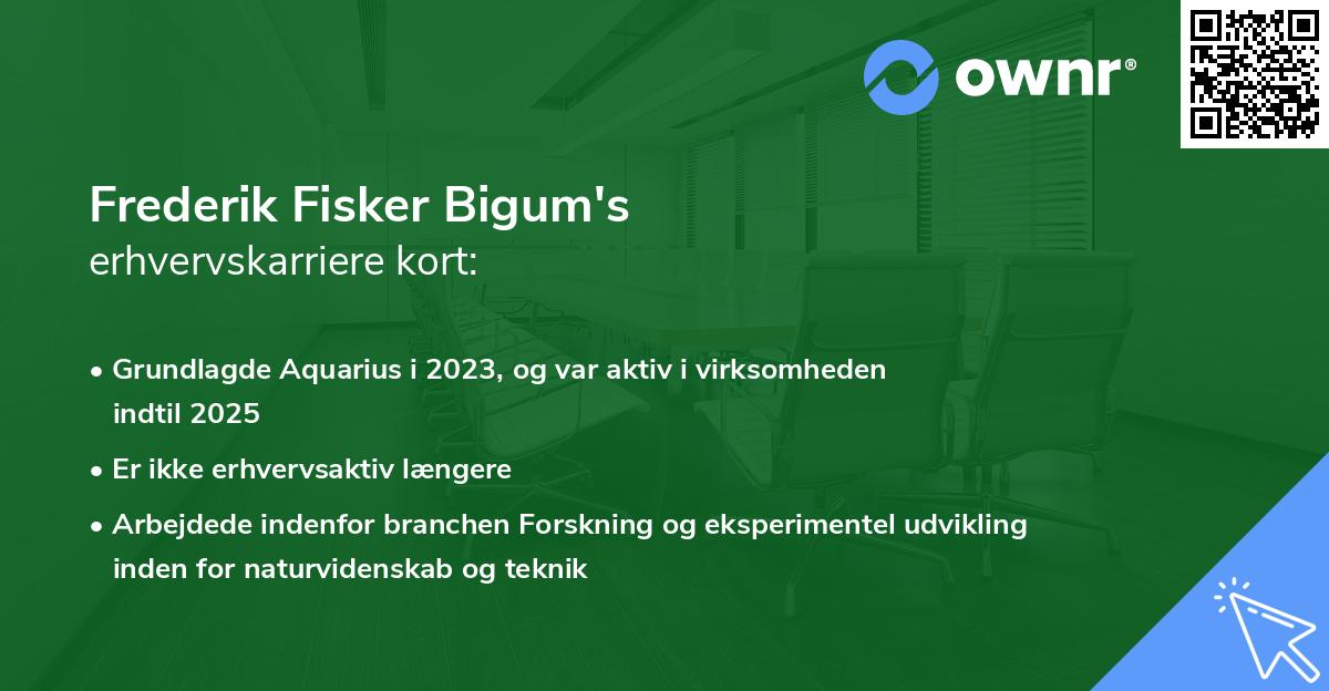 Frederik Fisker Bigum's erhvervskarriere kort