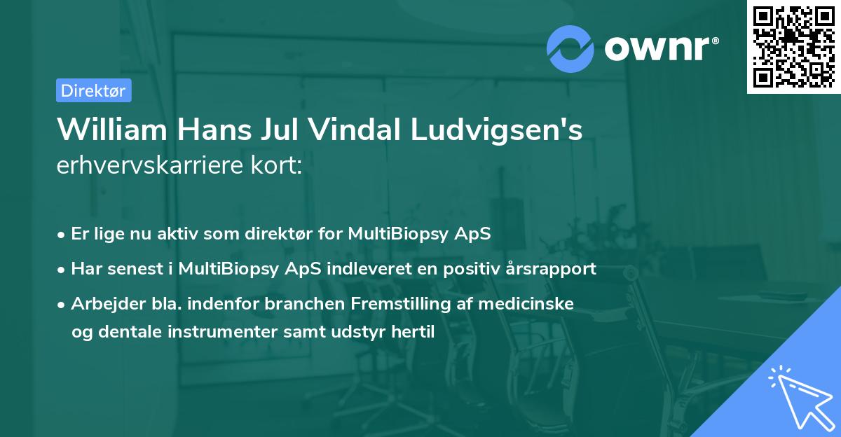 William Hans Jul Vindal Ludvigsen's erhvervskarriere kort