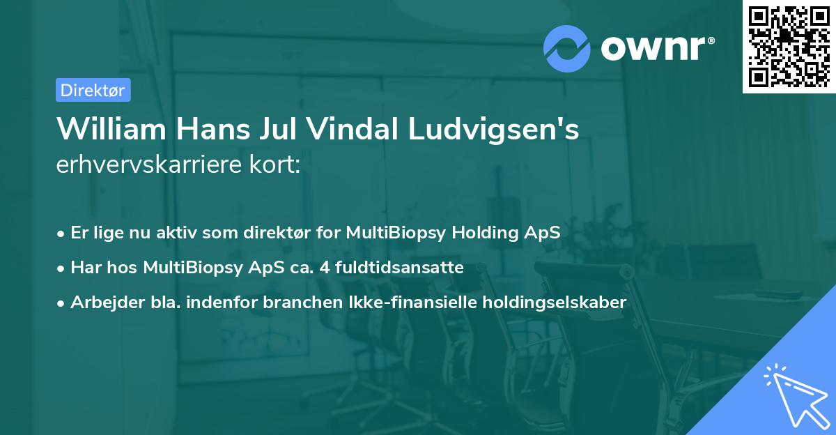William Hans Jul Vindal Ludvigsen's erhvervskarriere kort