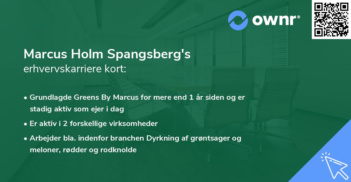 Marcus Holm Spangsberg's erhvervskarriere kort