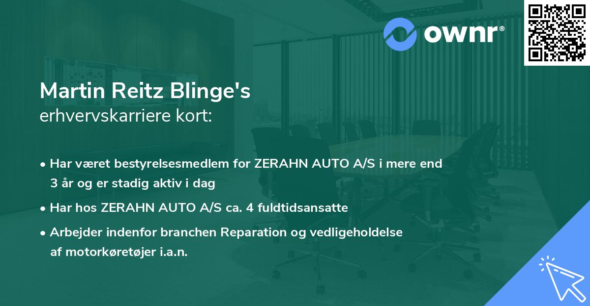 Martin Reitz Blinge's erhvervskarriere kort