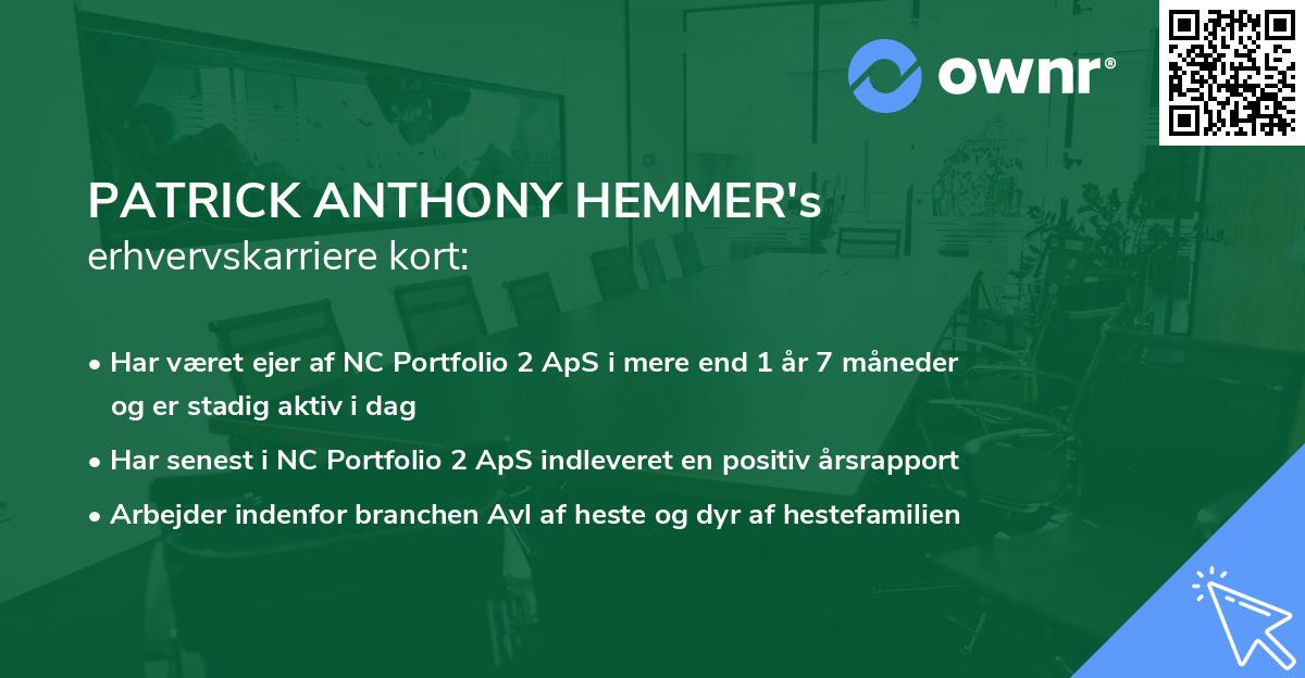 PATRICK ANTHONY HEMMER's erhvervskarriere kort