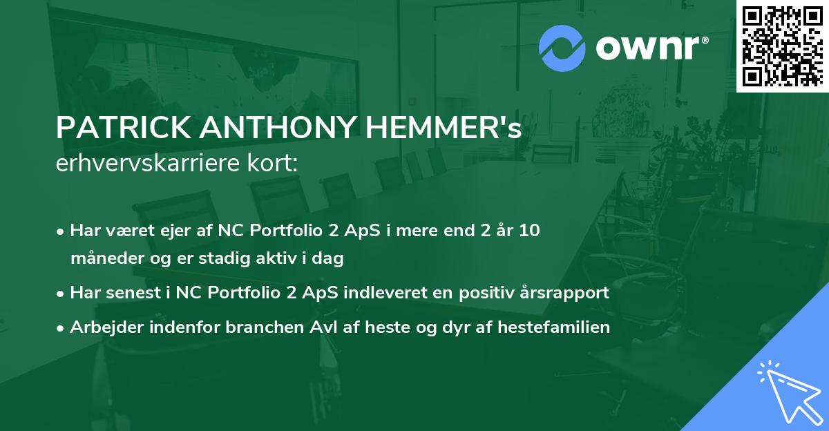 PATRICK ANTHONY HEMMER's erhvervskarriere kort