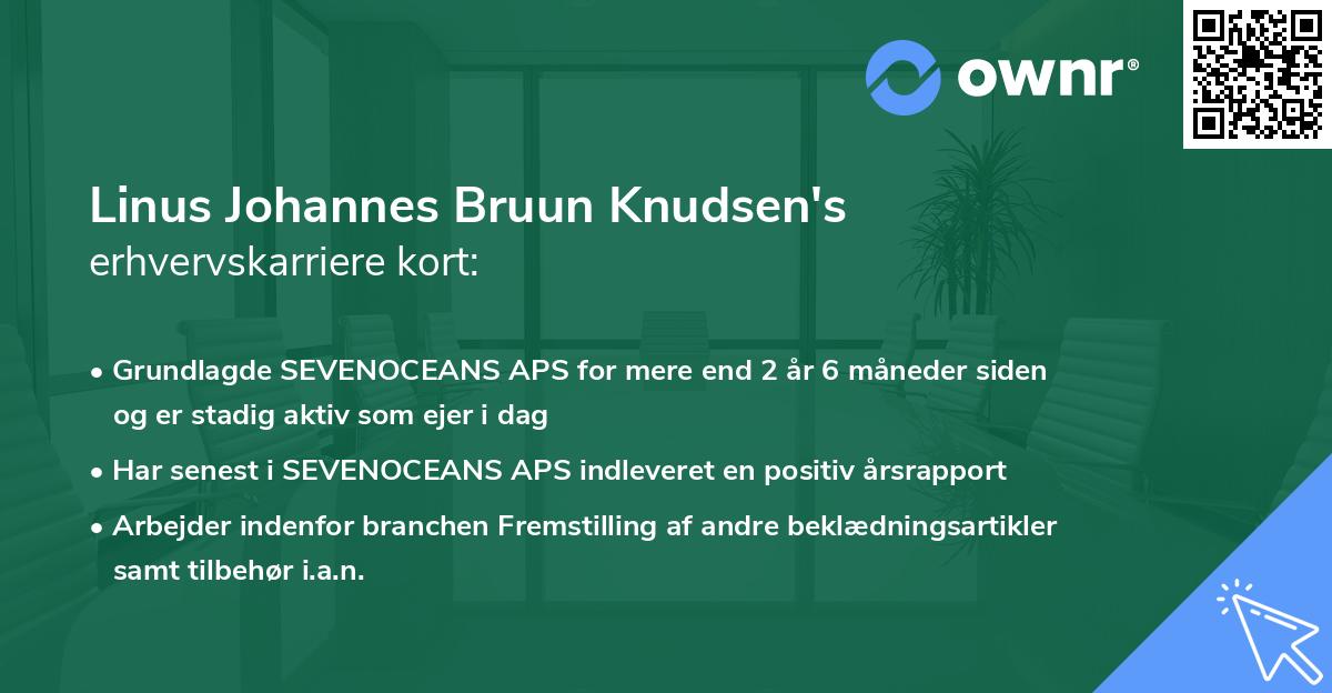 Linus Johannes Bruun Knudsen's erhvervskarriere kort