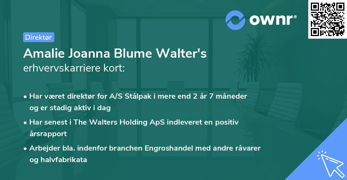 Amalie Joanna Blume Walter's erhvervskarriere kort