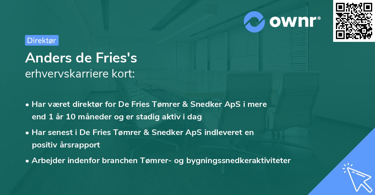 Anders de Fries's erhvervskarriere kort
