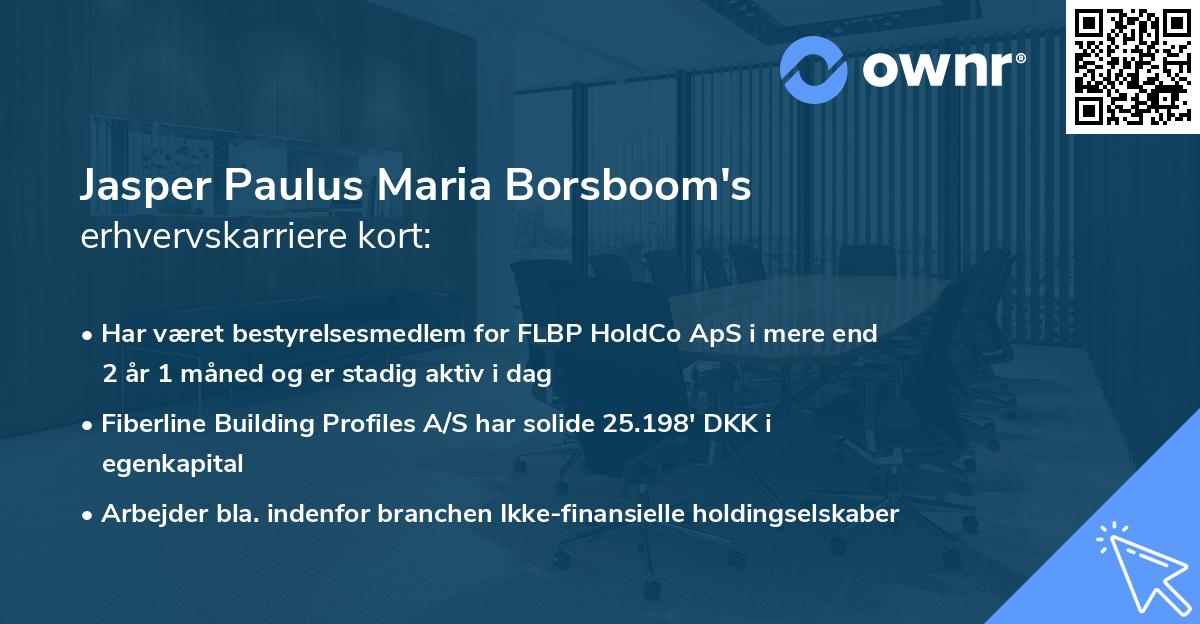 Jasper Paulus Maria Borsboom's erhvervskarriere kort