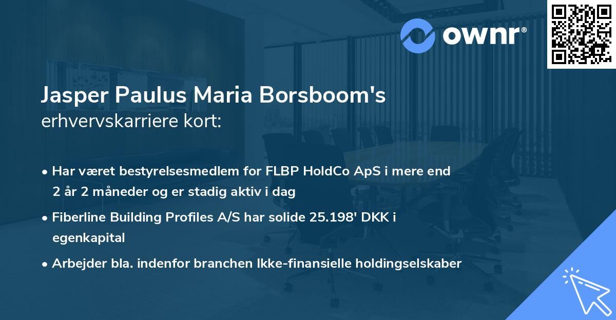 Jasper Paulus Maria Borsboom's erhvervskarriere kort
