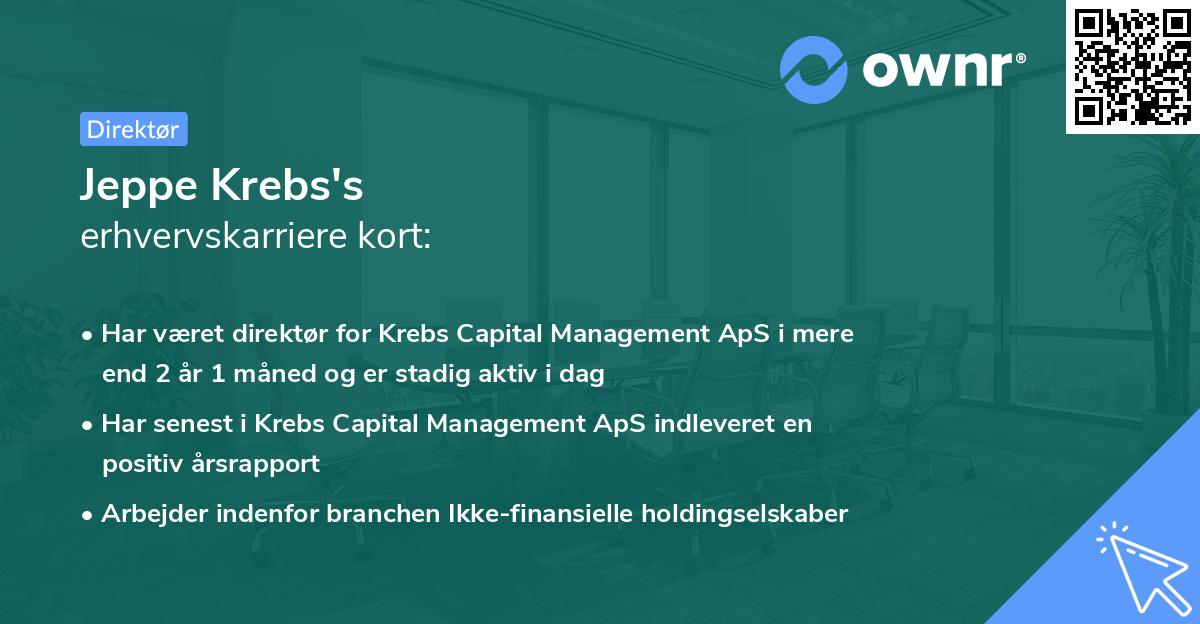 Jeppe Krebs's erhvervskarriere kort