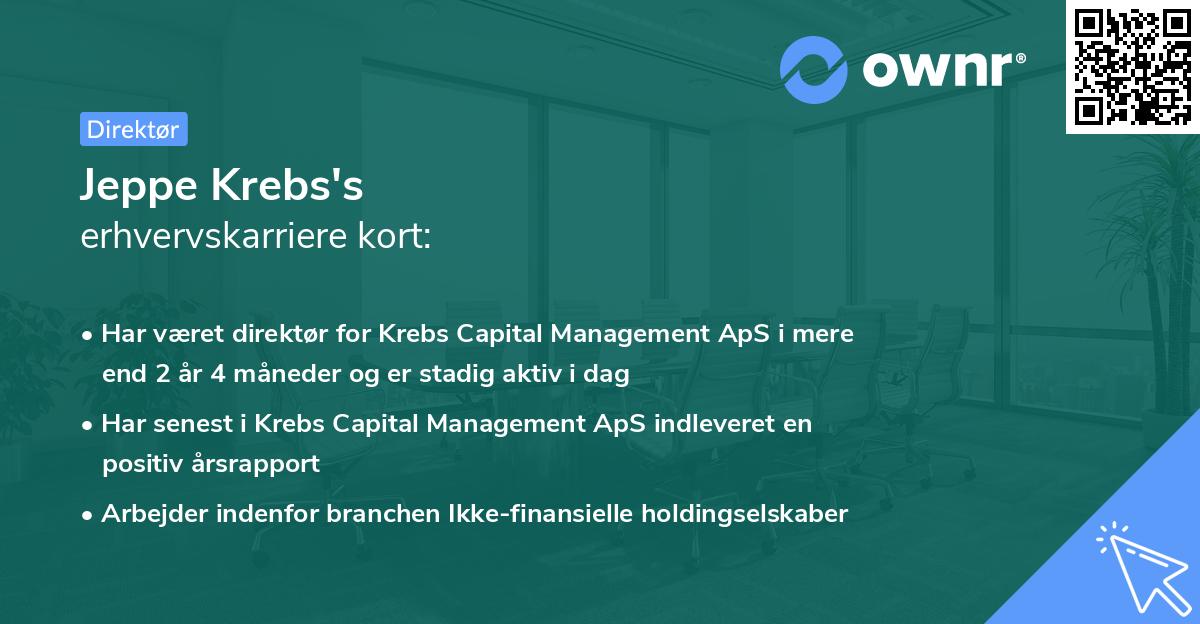 Jeppe Krebs's erhvervskarriere kort