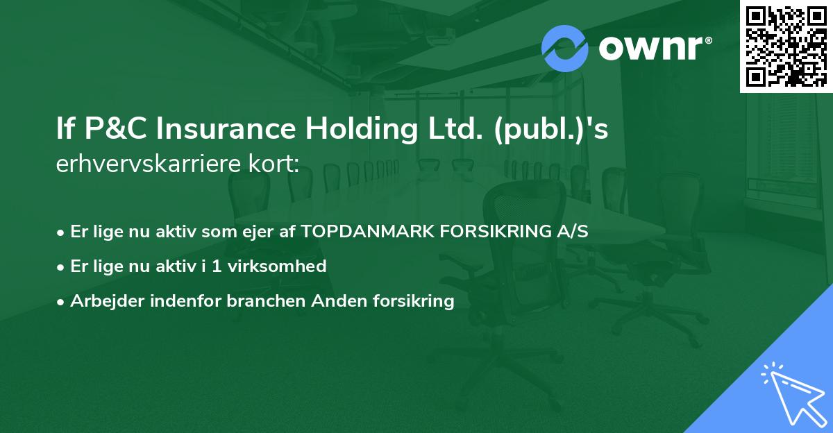 If P&C Insurance Holding Ltd. (publ.)'s erhvervskarriere kort