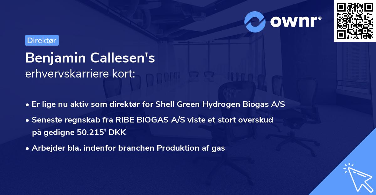 Benjamin Callesen's erhvervskarriere kort