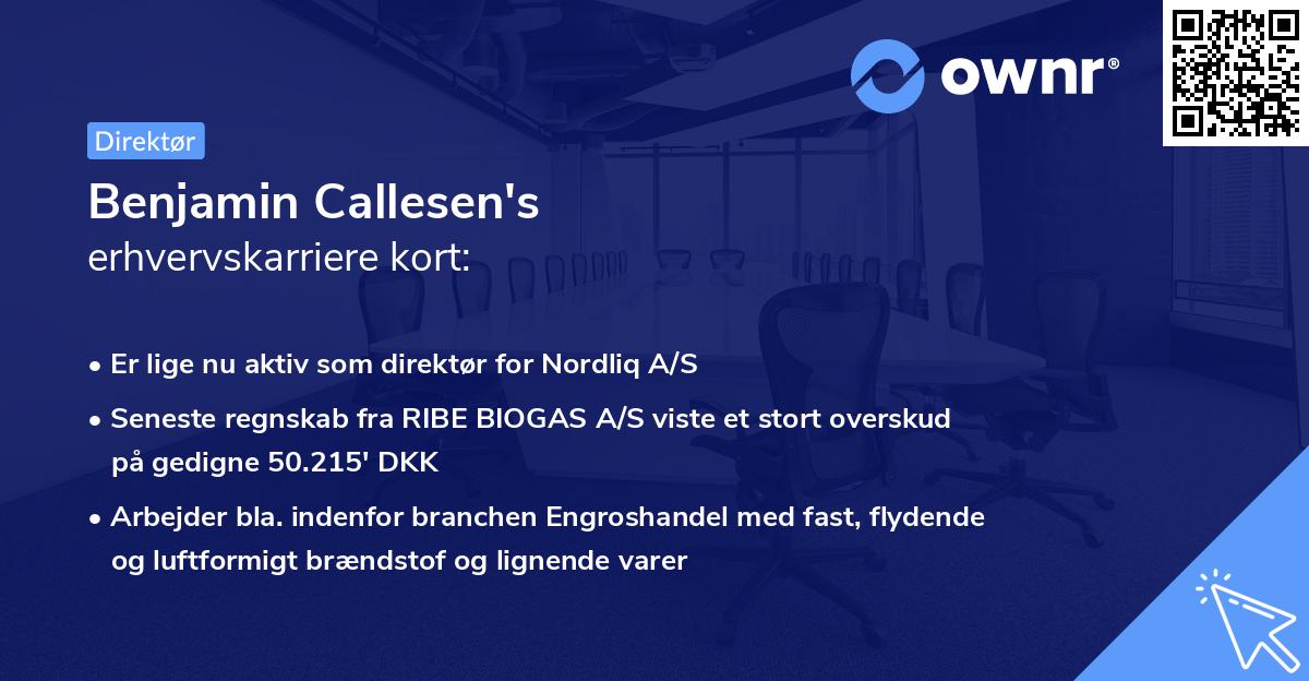 Benjamin Callesen's erhvervskarriere kort