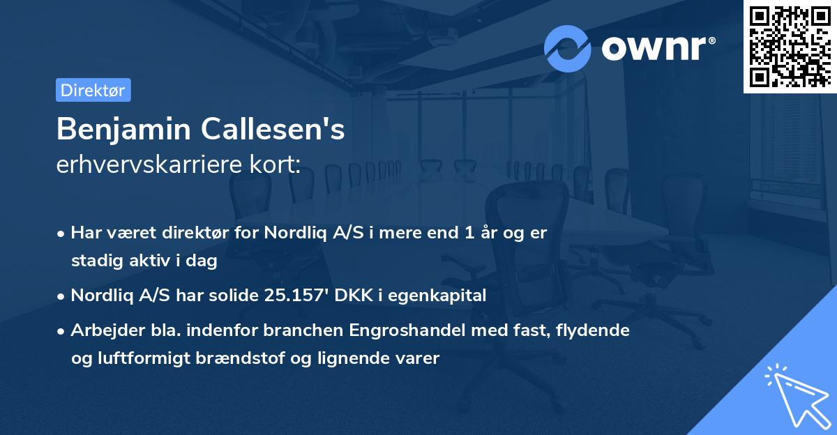 Benjamin Callesen's erhvervskarriere kort