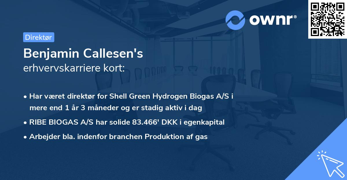 Benjamin Callesen's erhvervskarriere kort