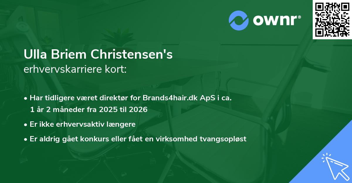 Ulla Briem Christensen's erhvervskarriere kort