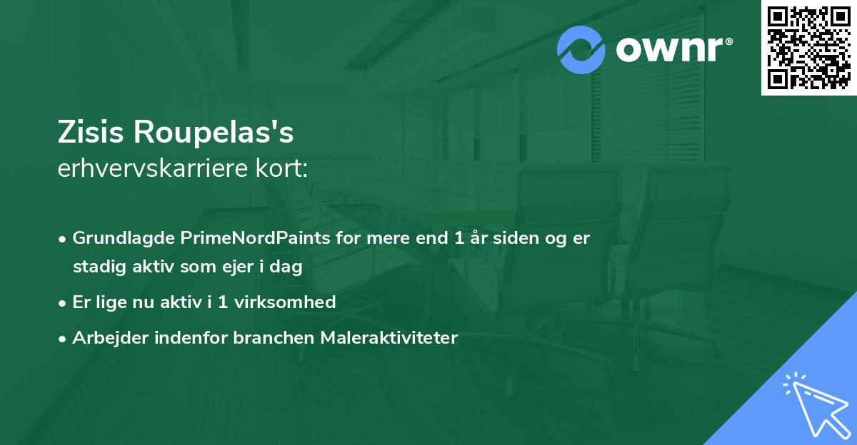 Zisis Roupelas's erhvervskarriere kort