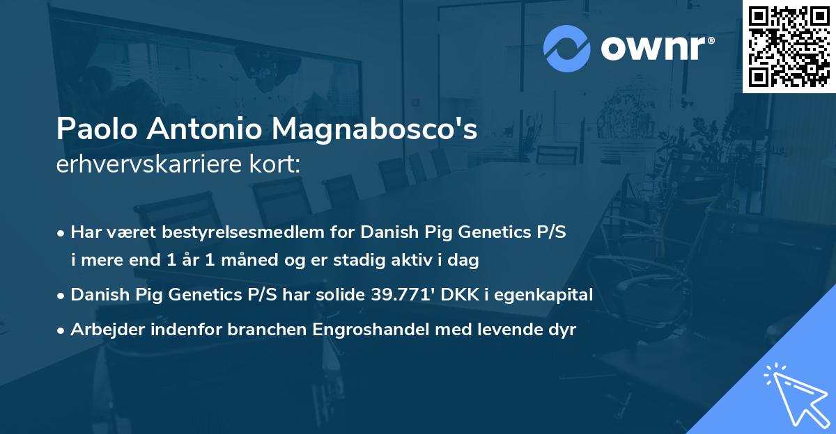Paolo Antonio Magnabosco's erhvervskarriere kort
