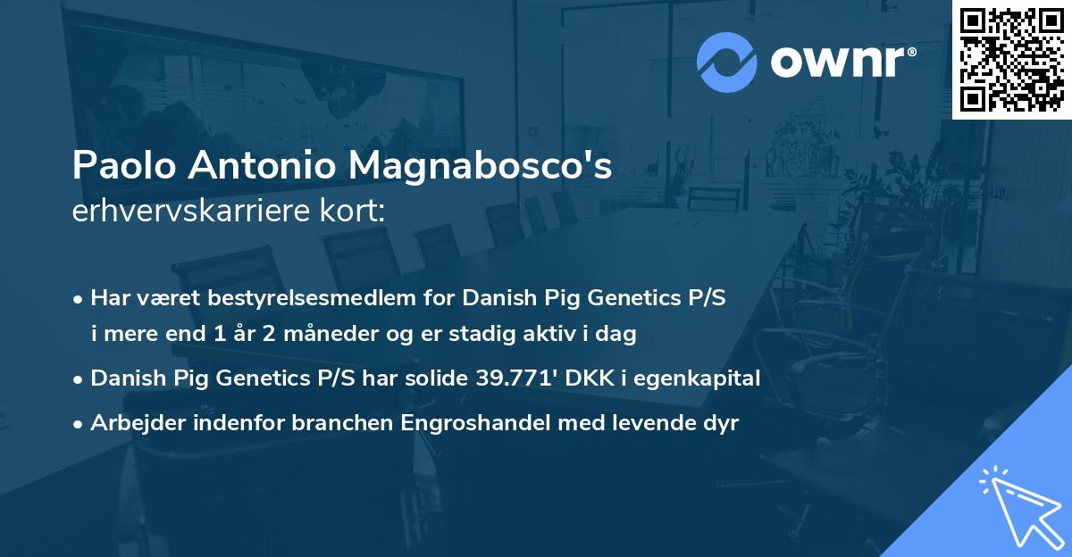 Paolo Antonio Magnabosco's erhvervskarriere kort