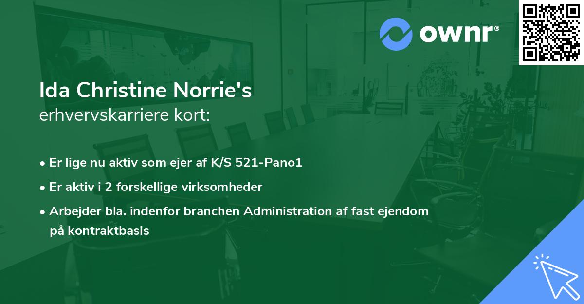 Ida Christine Norrie's erhvervskarriere kort