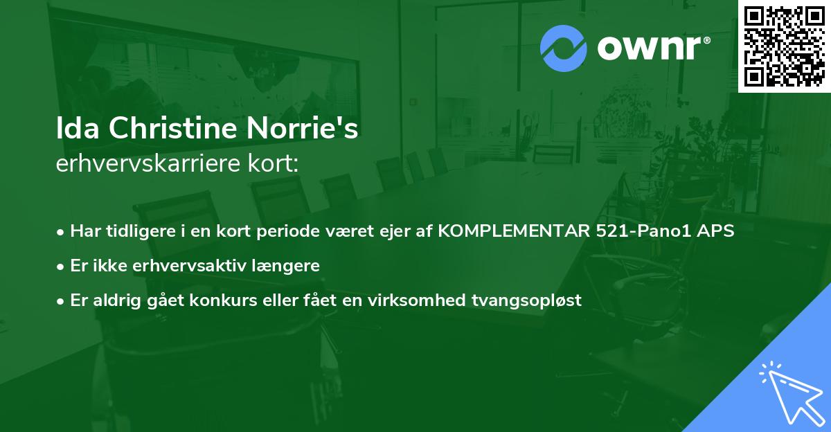 Ida Christine Norrie's erhvervskarriere kort