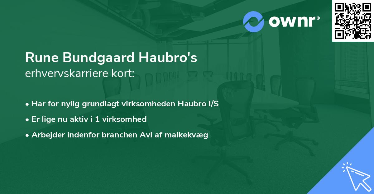 Rune Bundgaard Haubro's erhvervskarriere kort