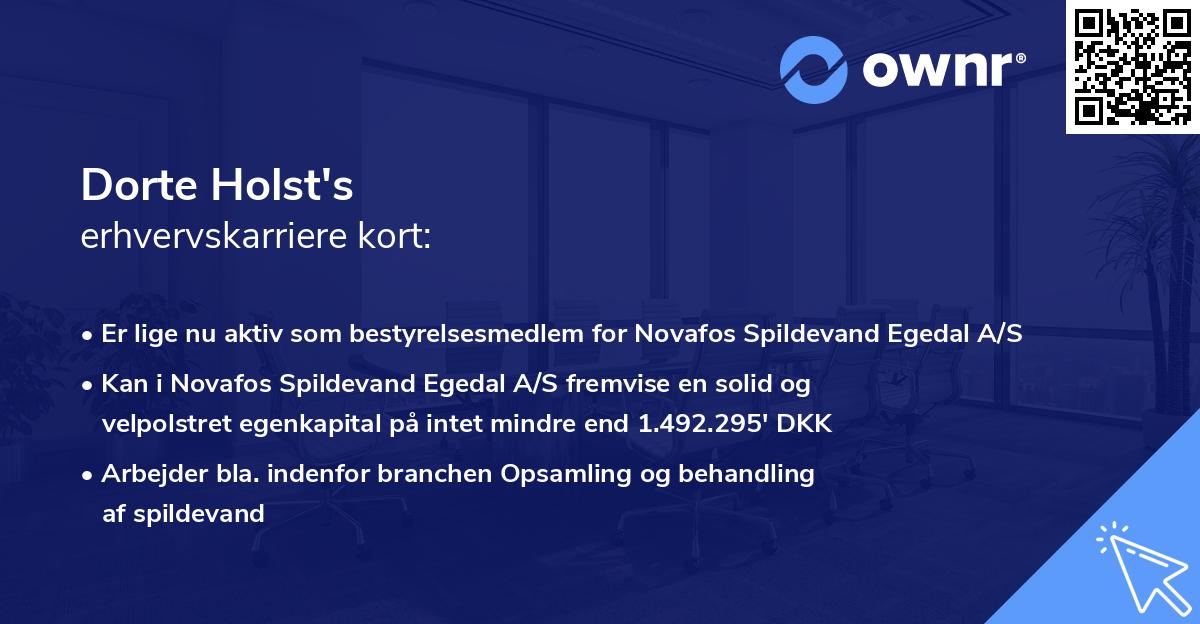 Dorte Holst's erhvervskarriere kort