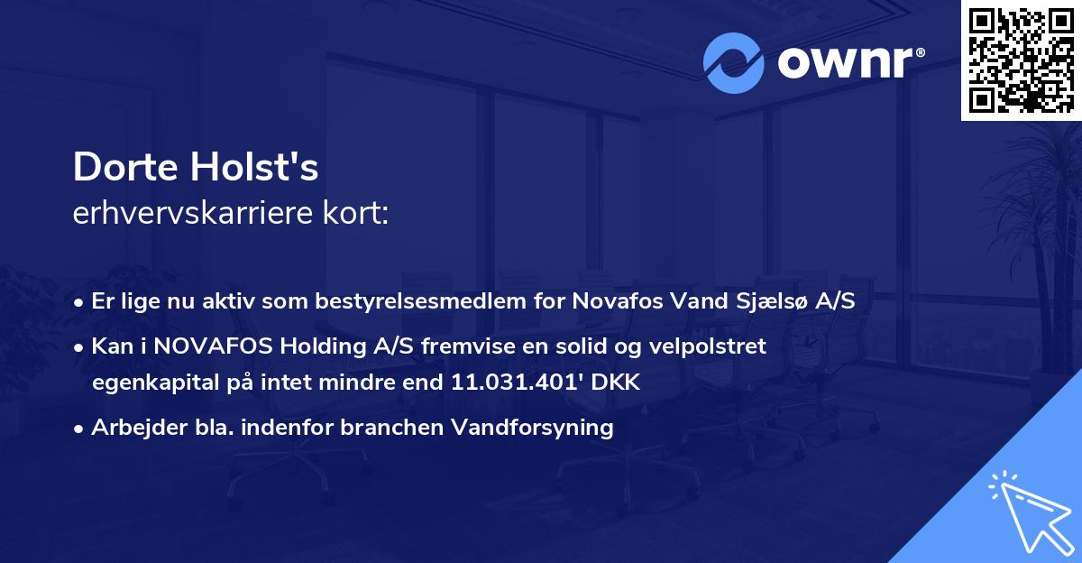 Dorte Holst's erhvervskarriere kort
