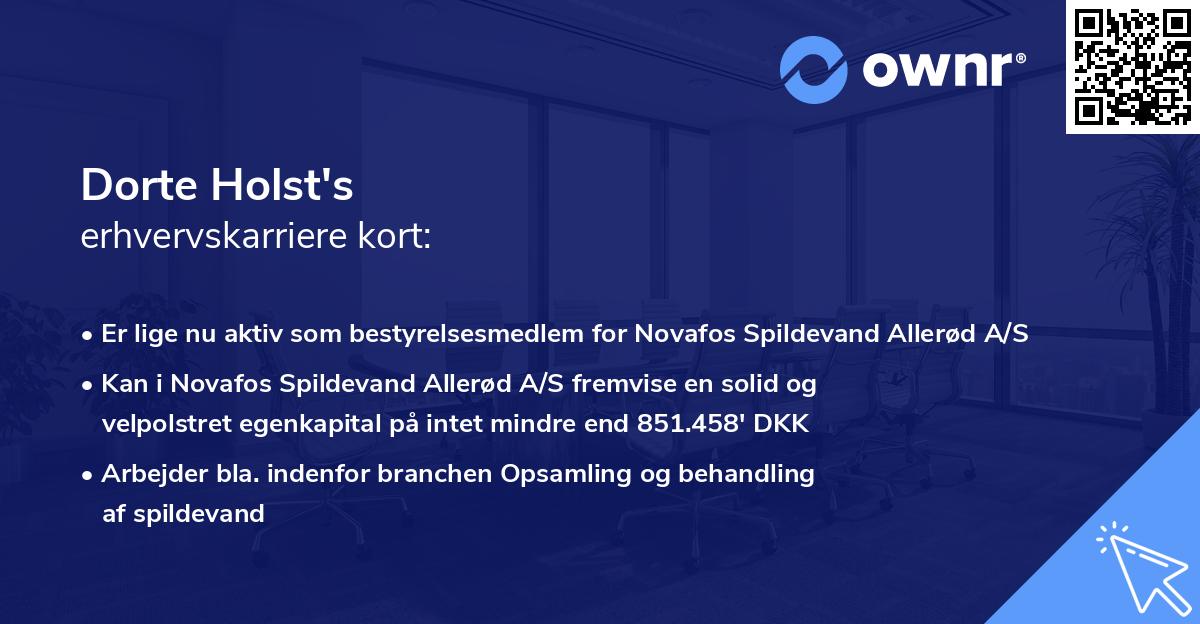 Dorte Holst's erhvervskarriere kort