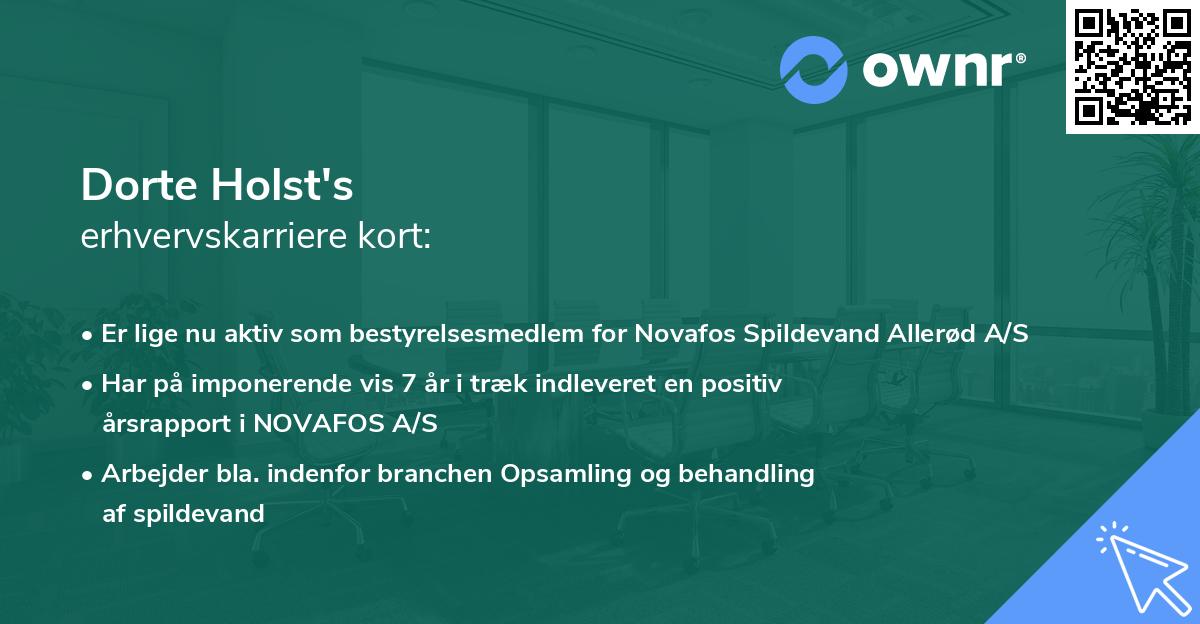 Dorte Holst's erhvervskarriere kort